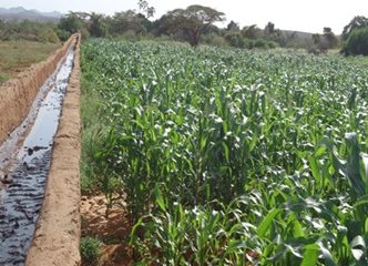 Sala irrigation project 1